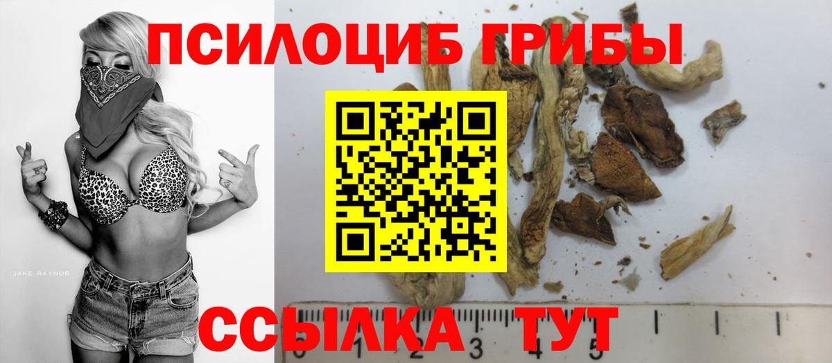 Галлюциногенные грибы Magic Shrooms  наркотики  Вход с VPN  Александров  Псилоцибиновые грибы Cubensis 